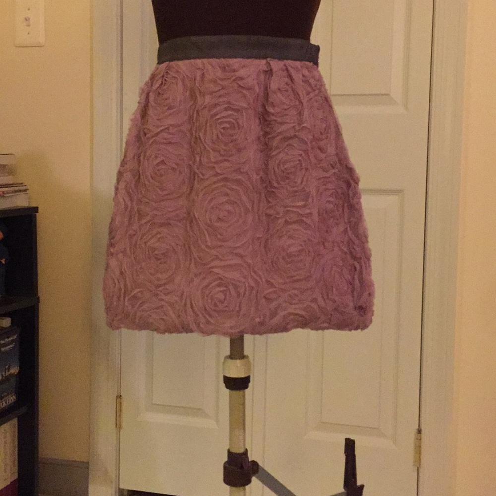 J. Crew skirt, lined lacy. FINAL PRICE DROP!!!! - Picture 2 of 4